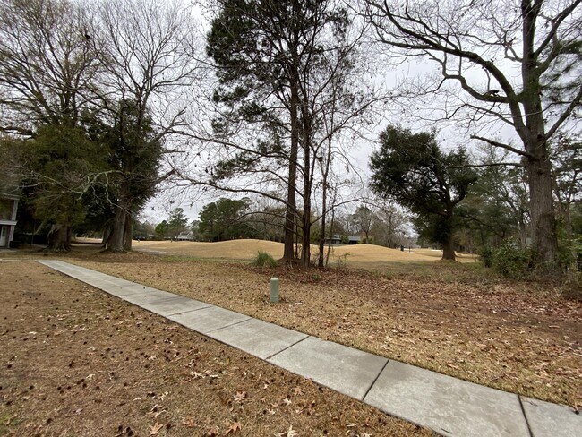 Building Photo - 2923 Cathedral Ln