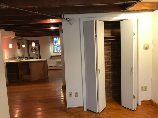 Closet in back room - 209 Spruce St