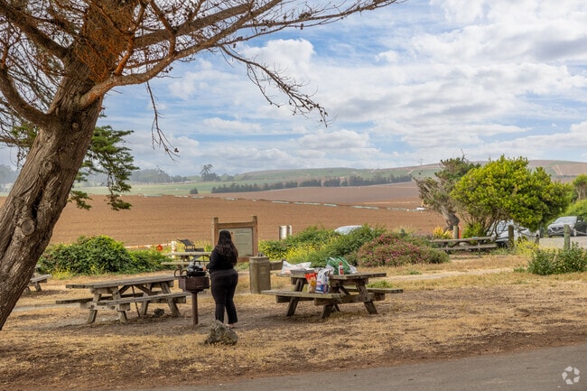 Enjoy a meal at the scenic picnic area in Sunset State Beach.