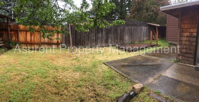 Foto del edificio - Cute Ashland Cottage 1/1 standalone $1450