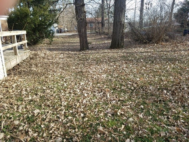 Foto del edificio - 33 Oak Ln