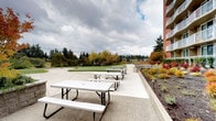 This expansive outdoor common area is thoughtfully designed to offer a variety of recreational and social amenities. The grounds feature wide, aggregate concrete pathways that wind through the space, providing accessible circulation between distinct zones. A standout feature is the putting green, offering a well-maintained recreational outlet set against a backdrop of mature deciduous trees displaying rich autumn foliage.

Multiple picnic tables are arranged across an open patio area, creating a comfortable setting for outdoor gatherings. Stone-edged raised planters and garden beds are integrated throughout, filled with an array of ornamental grasses, shrubs, and seasonal plantings in warm hues of red, orange, and gold, contributing vibrant color and natural texture to the environment.

The landscaping transitions seamlessly between the patio, garden areas, and open lawn spaces, creating a layered and visually engaging outdoor environment. The multi-story red brick building flanking the space features numerous private balconies overlooking the grounds below, reinforcing the connection between interior and exterior living. The surrounding tree canopy and neighboring low-rise structures provide a sense of enclosure and community, while the open sky above contributes to the area's spacious, park-like atmosphere.