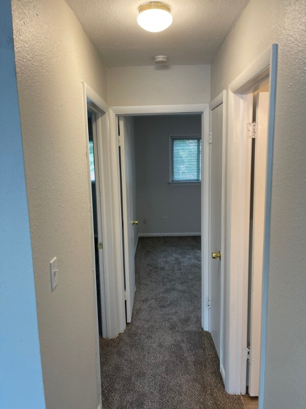 Foto del edificio - 2412 Azalea Garden Rd