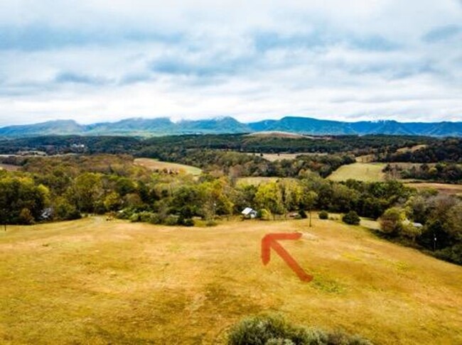 Foto del edificio - Writer's Retreat is a sweet rustic log cab...