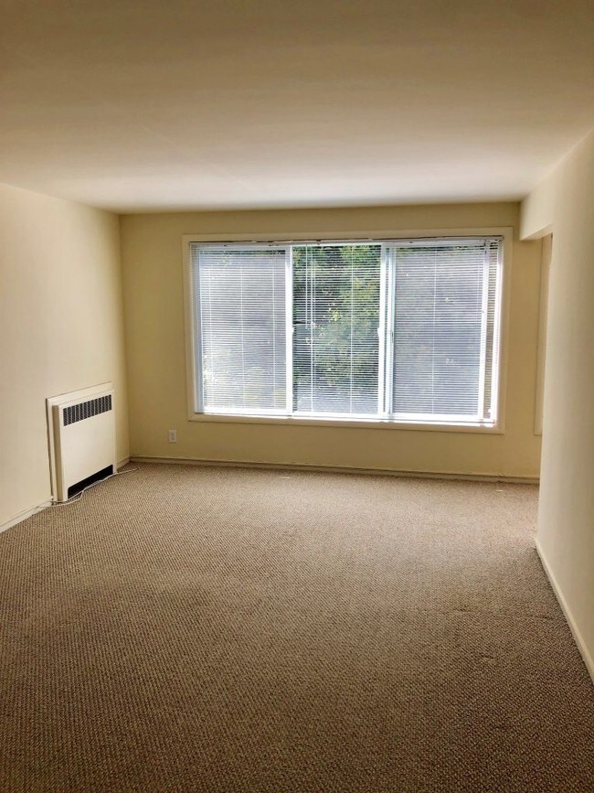 Building Photo - Beautiful Top Floor Inner Richmond 1 Bedroom!