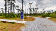 Located at 60 Choctawhatchee Way in Santa Rosa Beach, Florida, the Blue Tide Parkway Walking Trail offers an immersive outdoor experience through the natural landscapes characteristic of Florida's Emerald Coast. The trail is accessible to the public, with dedicated gravel parking available at the trailhead, clearly marked by prominent signage directing visitors to the walking path.

The trail winds through a diverse coastal ecosystem, featuring a combination of gravel pathways and elevated wooden boardwalks that guide visitors through varying terrain. The boardwalks traverse wetland areas teeming with native grasses, cypress trees, and lush subtropical vegetation, providing an up-close encounter with the region's natural habitats. Towering longleaf pines rise prominently throughout the landscape, creating a striking canopy against the open sky.

Open meadow areas and retention ponds add to the scenic variety, while the surrounding natural buffer of dense shrubs and native groundcover preserves the trail's wild character. Residential buildings are visible in the background, situating this green corridor as a community-integrated natural amenity. The overall ambiance is tranquil and immersive, making the Blue Tide Parkway Walking Trail a valuable outdoor recreational resource for residents and visitors to the Santa Rosa Beach area.