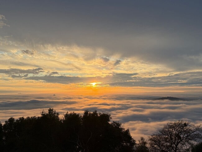 Building Photo - Luxury Home with 180 Degrees Lake Views