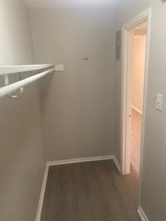 Interior Photo - Madeira Apartments