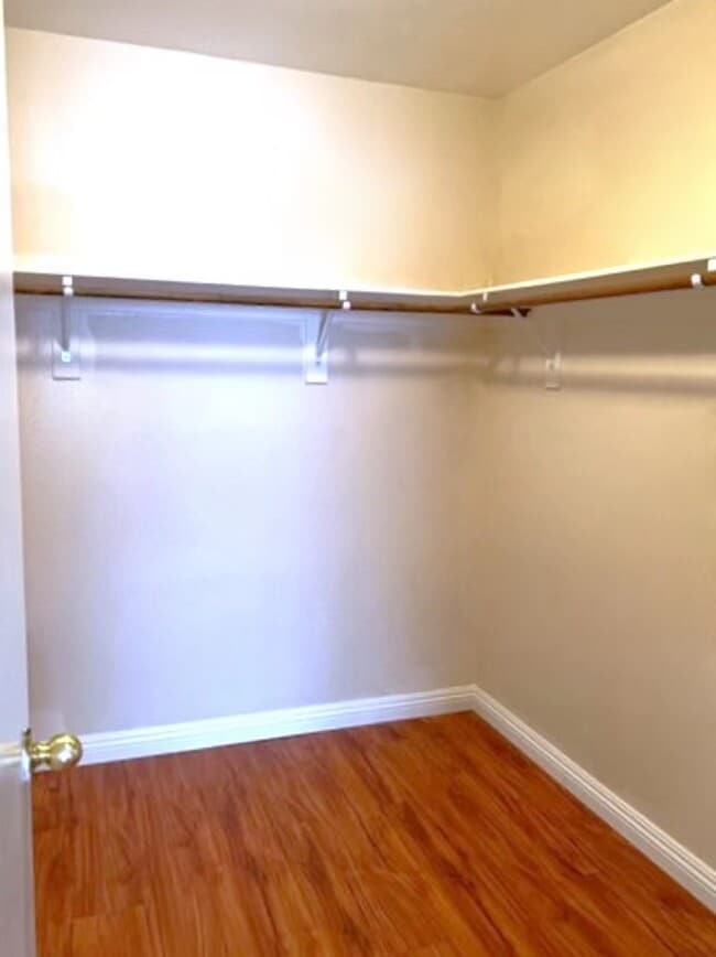 Building Photo - 903 Sterling Thorn Ct