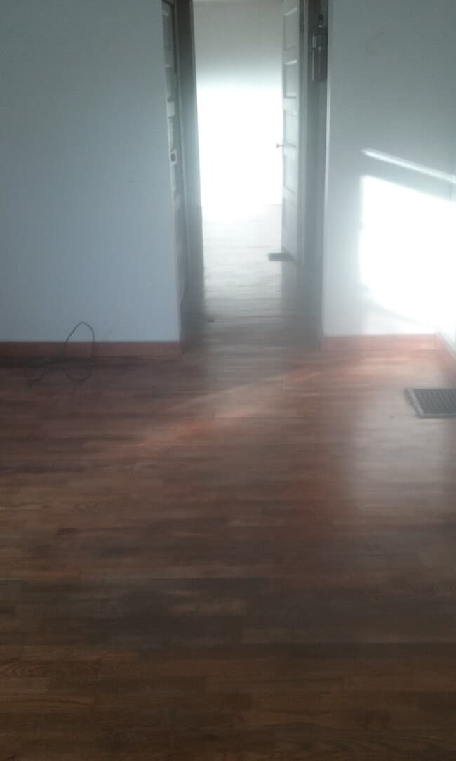 Original hardwood floors - 204 W Ells Ave