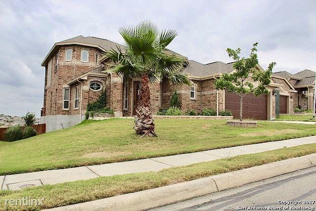 Primary Photo - 4 br, 3.5 bath House - 11118 Cup Flower
