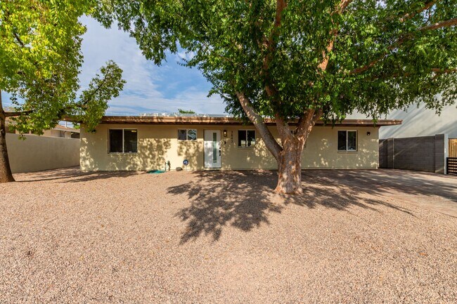Foto del edificio - DESIGNER TOUCHES 3 bed/1 bath in Arcadia!