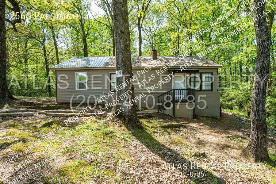 Primary Photo - 2560 Palomino Ln