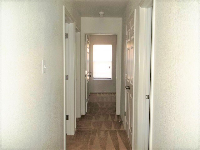 Foto del edificio - 2716 Ashley Dr