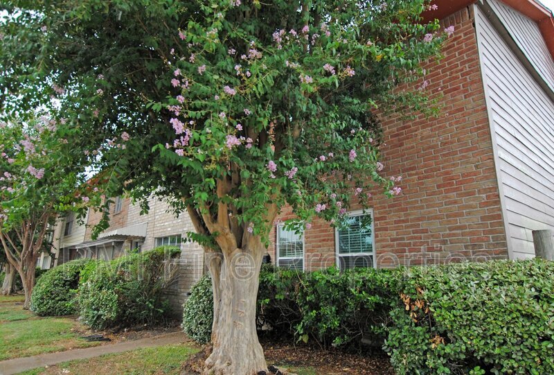 Primary Photo - 7853 Fuqua St
