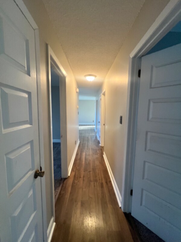 4104 Deer Run Dr, Knoxville, TN 37912 House Rental in Knoxville, TN