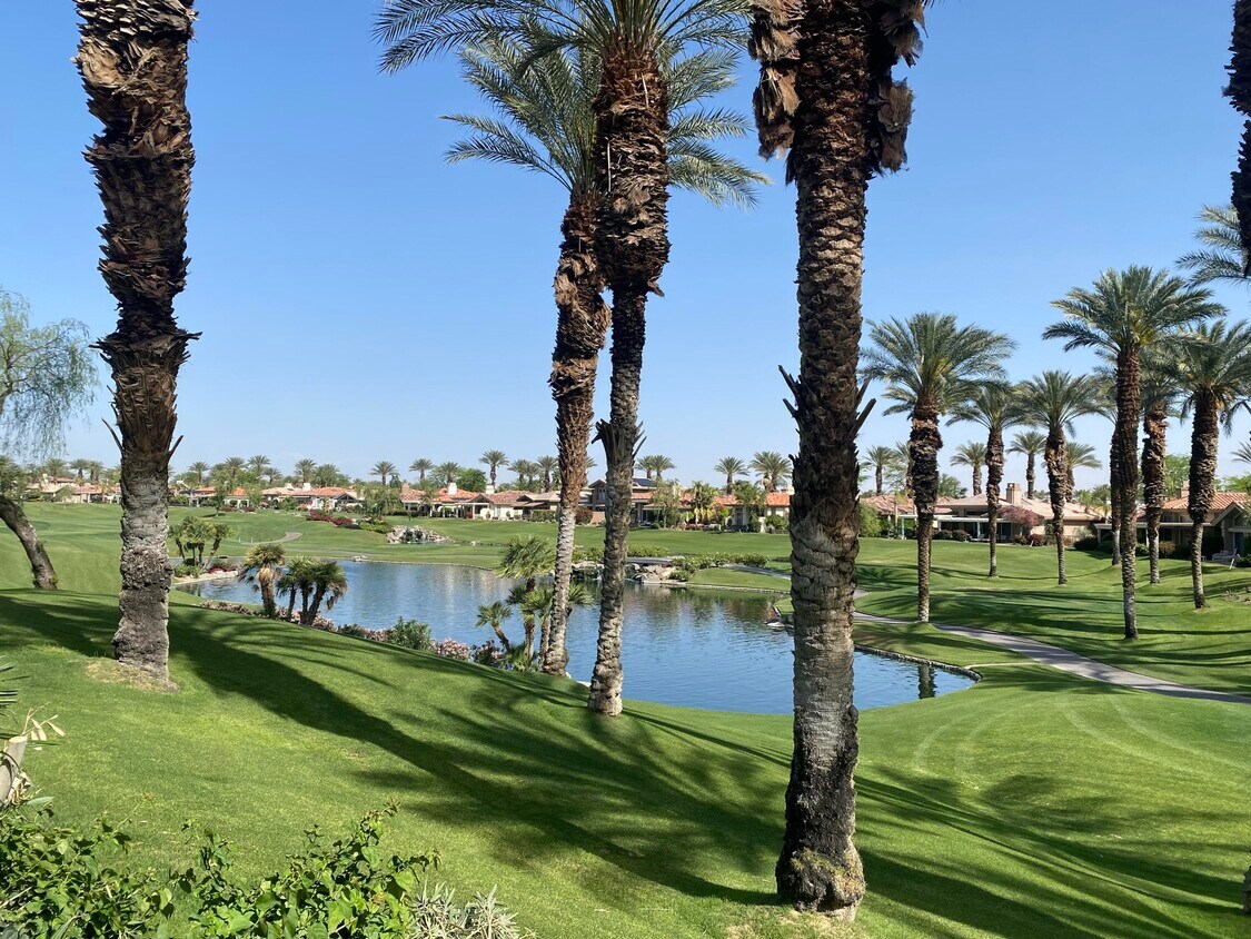 550 Desert Holly Dr, Palm Desert, CA 92211 Condo for Rent in Palm