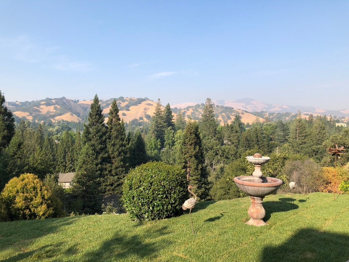 Photo - 2383 Hagen Oaks Dr (Alamo, CA)