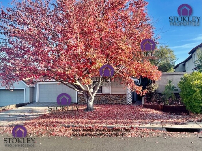 Primary Photo - Stokley Properties Presents 4241 Cuneo Dri...