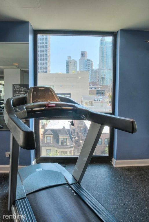 Foto del edificio - 1 br, 1 bath Apartment - 1000 N La Salle St
