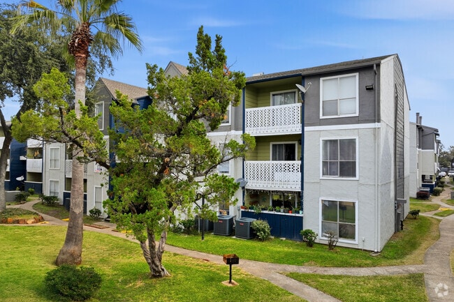 Primary - Chestnut Hill