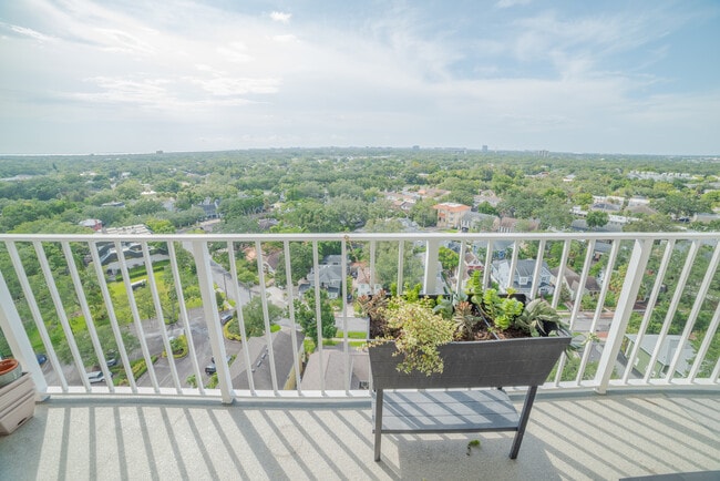 Building Photo - 2611 Bayshore Blvd