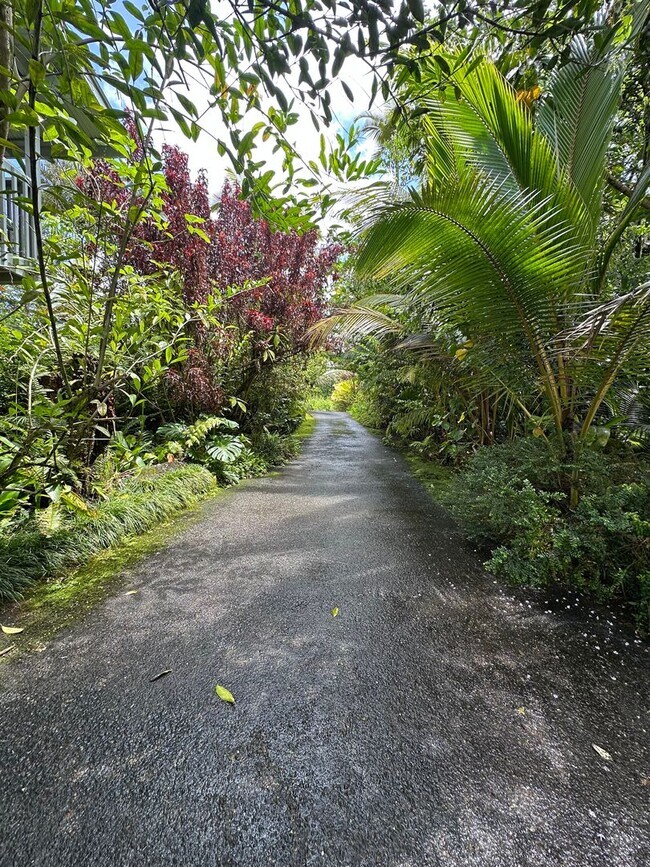 Foto del edificio - 1bd & 1 1/2 ba Fully Furnished & Move in Ready & all appliances included