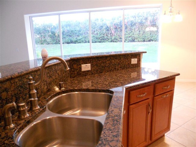 Building Photo - 4 br, 2 bath House - 27403 Silver Thatch D...