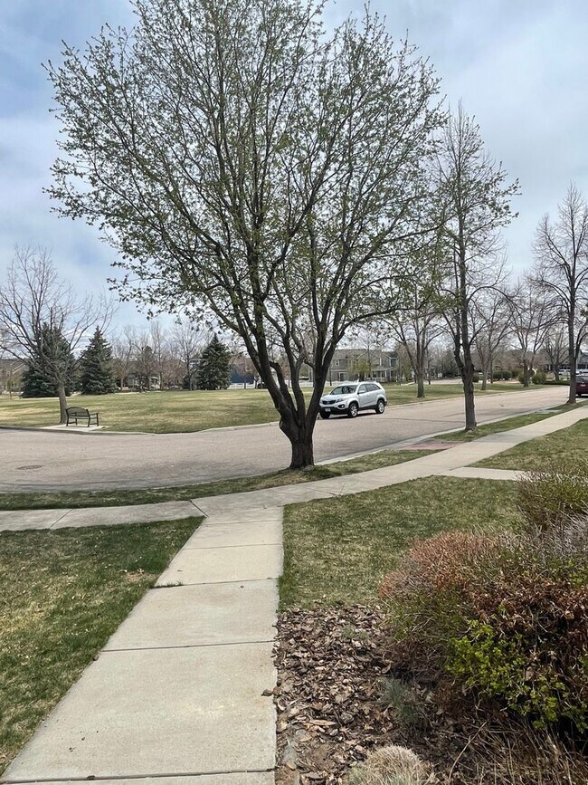 Foto del edificio - 2944 Cornerstone Ln