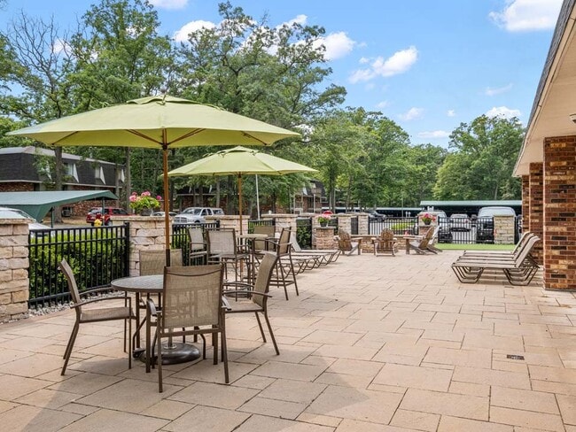 Shaded Picnic Tables - Tiffany Woods