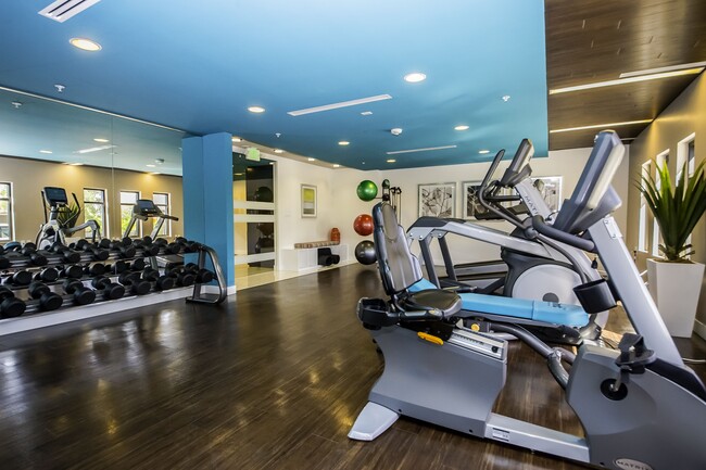 Fitness Center - Park Encino