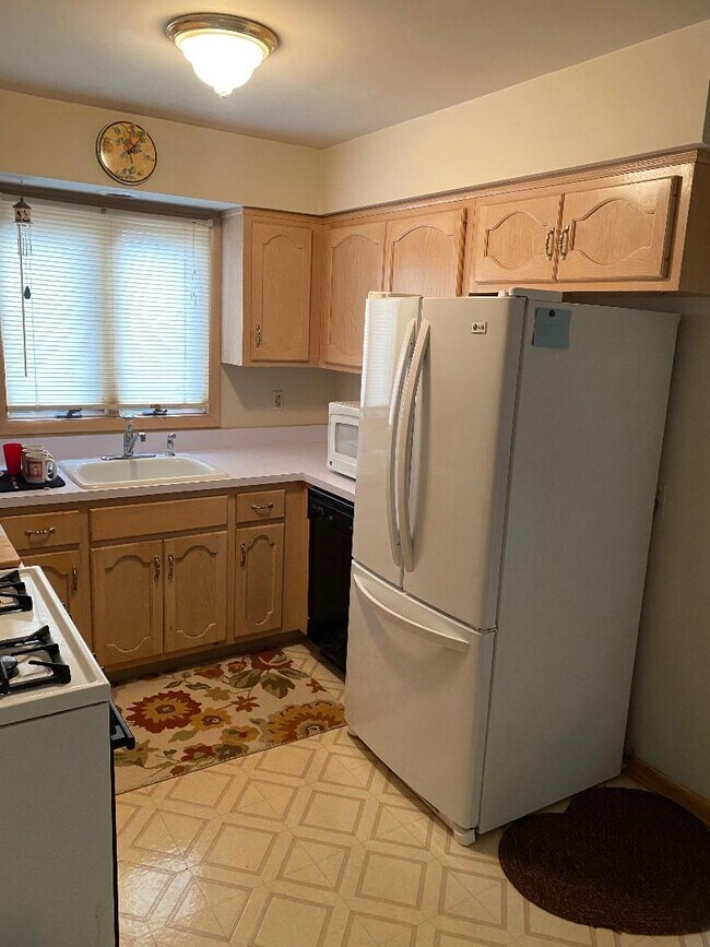 Kitch w/fridge/dw/stove - 394 E 54th St