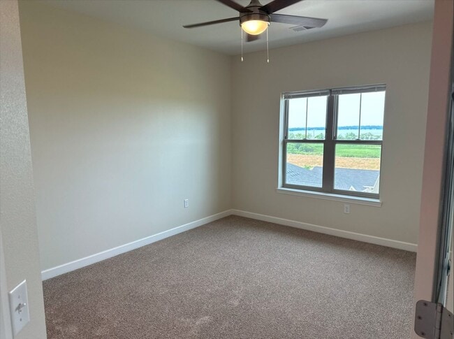 Interior Photo - Red Earth