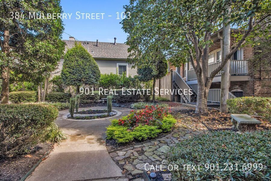 Photo - 384 Mulberry Street-103