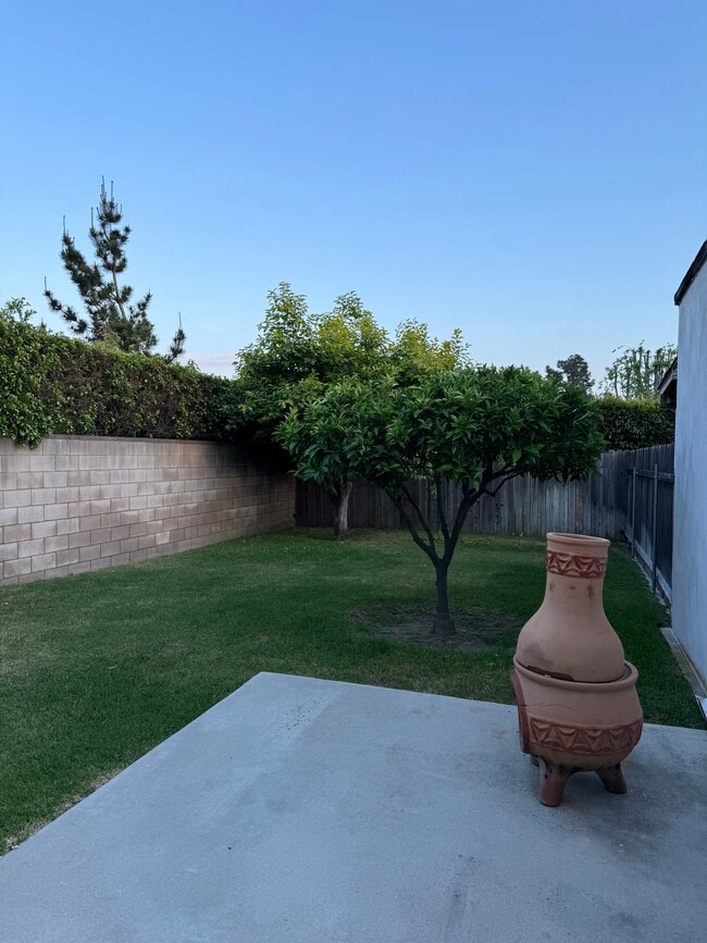 Private back yard, fully fenced, lawn & citrus - 84 W Palm Dr