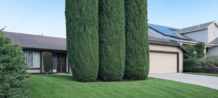 Building Photo - 6748 Tuxedo Rd