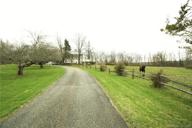 Foto del edificio - 224 Ridgebury Rd