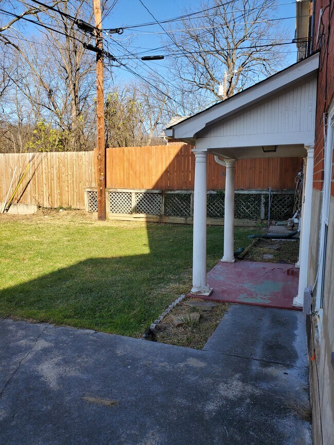 View of the backyard - 107 Morgan St