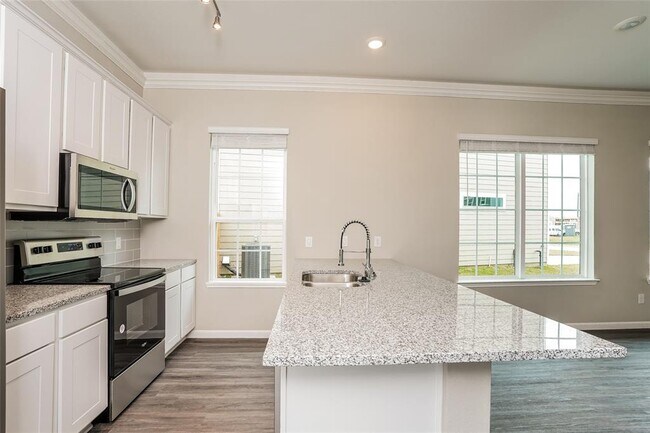 Building Photo - 1231 Lantana Thicket Wy