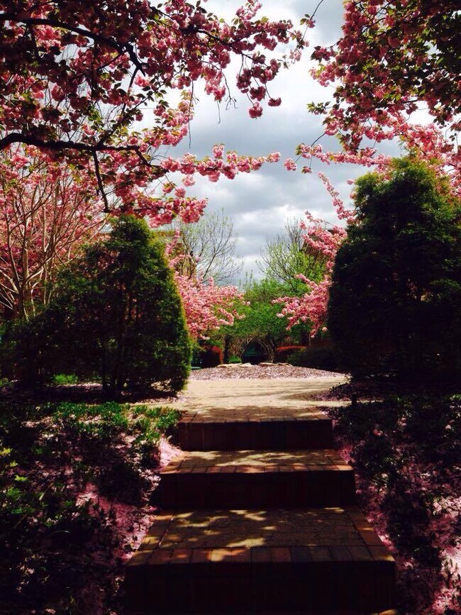 Foto del edificio - 24 S Old Glebe Road