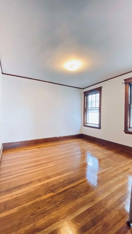 Building Photo - 19 Champney St