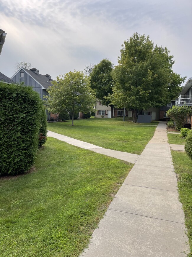 Court Yard - 54 Pine St