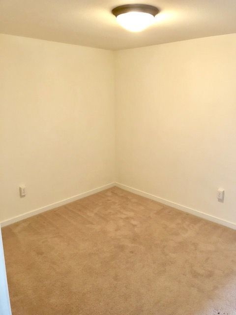 Building Photo - 3517 Briel St