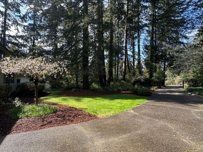 Foto del edificio - Spacious 5-Bedroom Country Home on Nearly 2 Acres – Private, Peaceful & Full of Charm