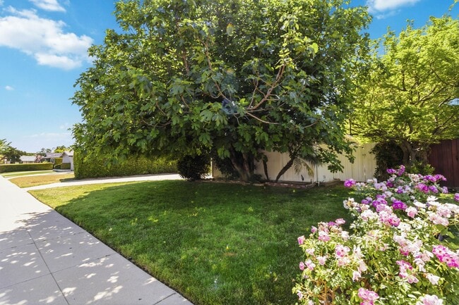 Foto del edificio - 23020 Haynes St