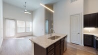 This well-designed single-floor residence makes a strong first impression with its dramatic soaring ceilings that lend an airy, expansive feel throughout the open living areas. The living room is anchored by wide-plank wood-style flooring, a ceiling fan, and generous windows with a glass door that flood the space with natural light.

The kitchen is a standout feature, showcasing rich dark espresso cabinetry paired with light granite countertops and a full suite of stainless steel appliances, including a French door refrigerator, electric range, and built-in microwave. A central island with an undermount sink and pendant lighting serves as both a functional workspace and a natural gathering point, flowing seamlessly into the living area.

The bedrooms offer a calm retreat, featuring plush carpet, tall ceilings, and windows that bring in soft natural light. The bathrooms are finished with the same dark cabinetry and granite countertops found in the kitchen, complemented by large framed mirrors, wood-style flooring, and walk-in closets with built-in shelving. One bathroom includes a glass-enclosed shower, while another features a full tub-shower combination. Throughout the space, a consistent neutral palette and cohesive finishes create a clean, modern aesthetic.