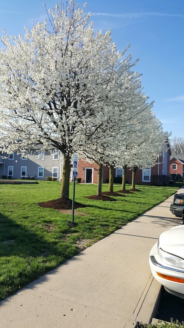 Foto del interior - Country View Apartments