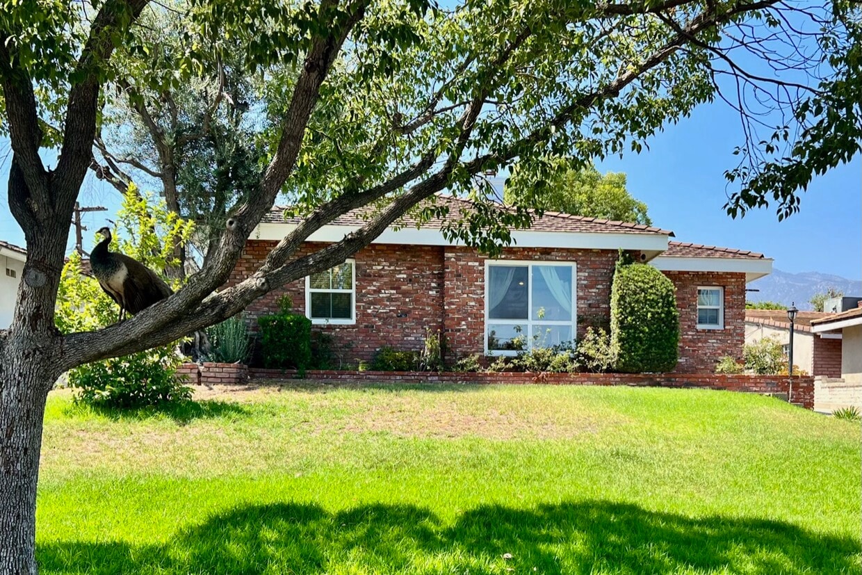 20 Apartments for Rent in Arcadia, CA Westside Rentals