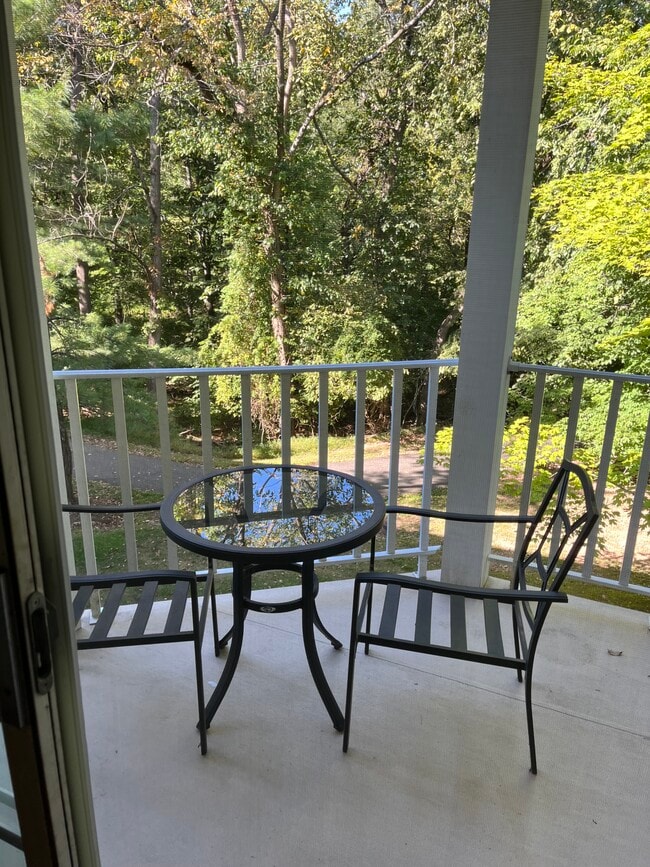 Patio - overlooking wooded area - 99 Sapphire Ln