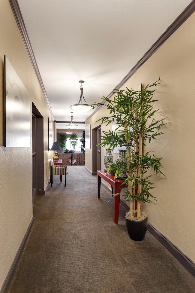pasillo - 669-679 Portola Dr